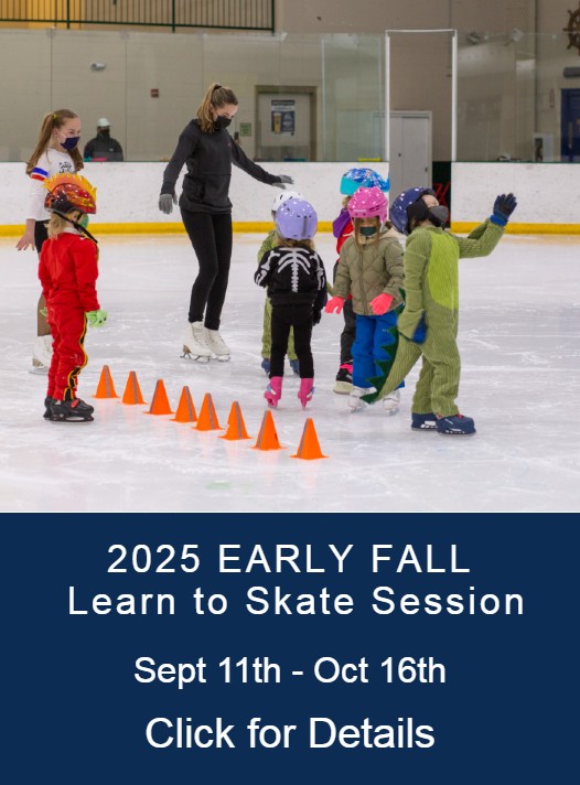 Learn to Skate